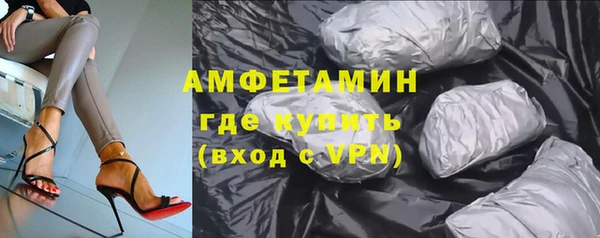 прущие грибы Беломорск