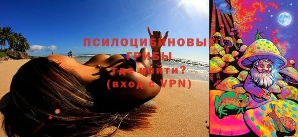 прущие грибы Беломорск