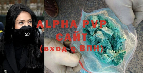 прущие грибы Беломорск