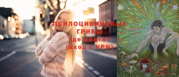 мяу мяу мука Баксан