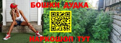 гидропоника Апшеронск
