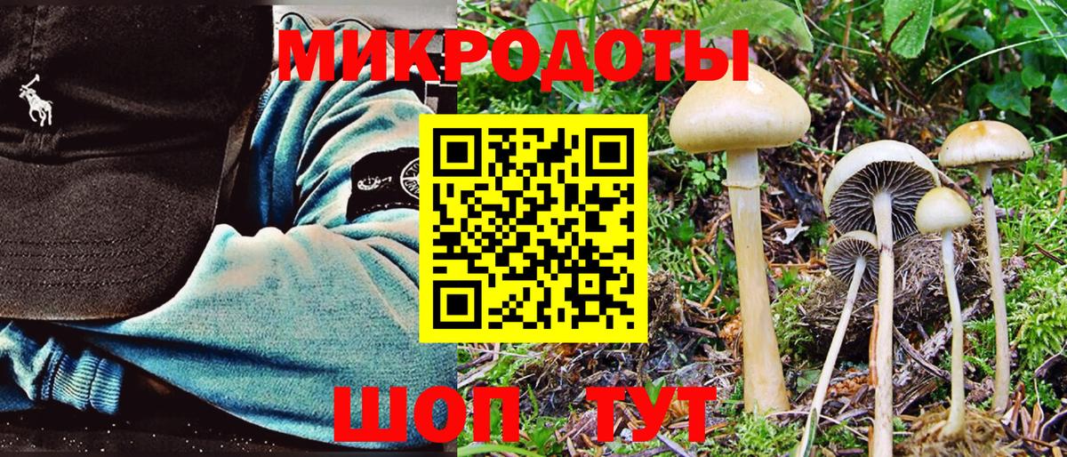 Галлюциногенные грибы GOLDEN TEACHER Асбест