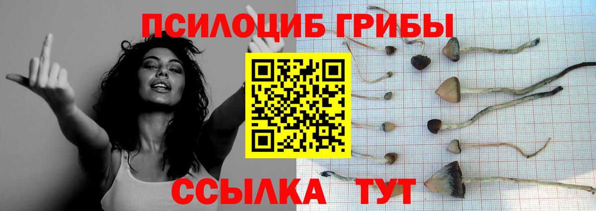 Галлюциногенные грибы GOLDEN TEACHER Асбест